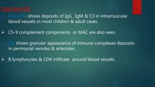 DIAGNOSIS
 Direct IF- shows deposits of IgG , IgM & C3 in intramuscular
blood vessels-in most children & adult cases.
 C5-9 complement components or MAC are also seen.
 EM shows granular appearance of immune complexes deposits-
in perimysial venules & arterioles.
 B lymphocytes & CD4 infiltrate around blood vessels.
 