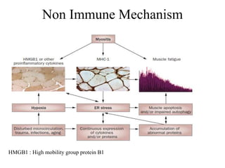 Non Immune Mechanism
HMGB1 : High mobility group protein B1
 