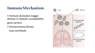ImmuneMechanism
• Immune Activators trigger
disease in myositis susceptibility
gene carriers.
• Environmental factors
may contribute
 