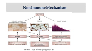 NonImmuneMechanism
HMGB1 : High mobility group protein B1
 