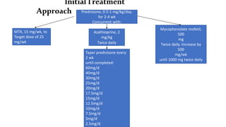 InitialTreatment
Approach Prednisone, 0.5-1 mg/kg/day.
for 2-4 wk
Concurrent with:
MTX, 15 mg/wk, to
Target dose of 25
mg/wk
Azathioprine, 2
mg/kgIBW
Twice daily
Mycophenolate mofetil,
500
mg
Twice daily. Increase by
500
mg/wk
until 1000 mg twice daily
Taper prednisone every
2 wk
until completed:
60mg/d
40mg/d
30mg/d
25mg/d
20mg/d
17.5mg/d
15mg/d
12.5mg/d
10mg/d
7.5mg/d
5mg/d
2.5mg/d
 