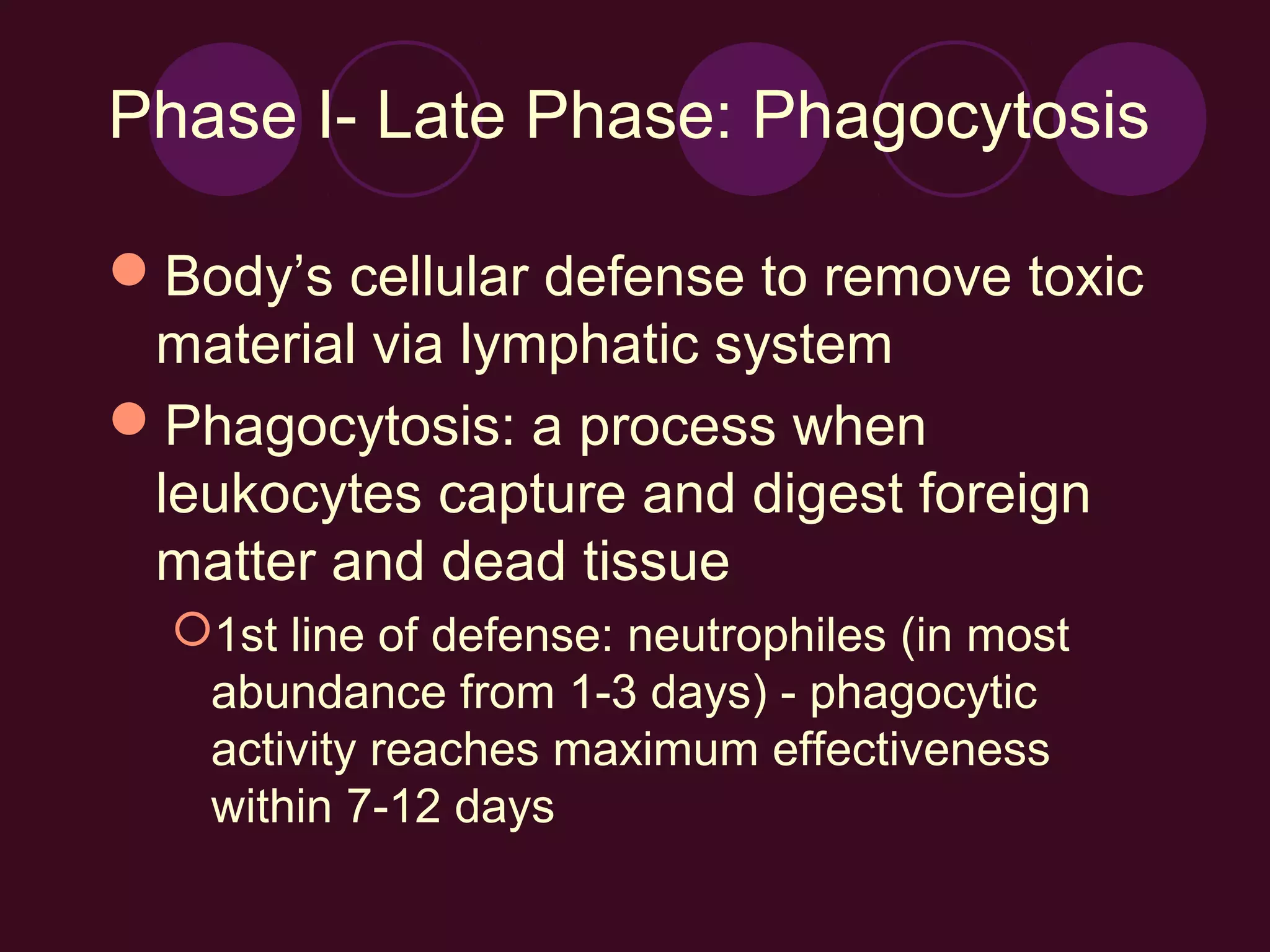 Phase I- Late Phase: Phagocytosis

Body’s cellular defense to remove toxic
 material via lymphatic system
Phagocytosis: a process when
 leukocytes capture and digest foreign
 matter and dead tissue
  1st line of defense: neutrophiles (in most
   abundance from 1-3 days) - phagocytic
   activity reaches maximum effectiveness
   within 7-12 days
 