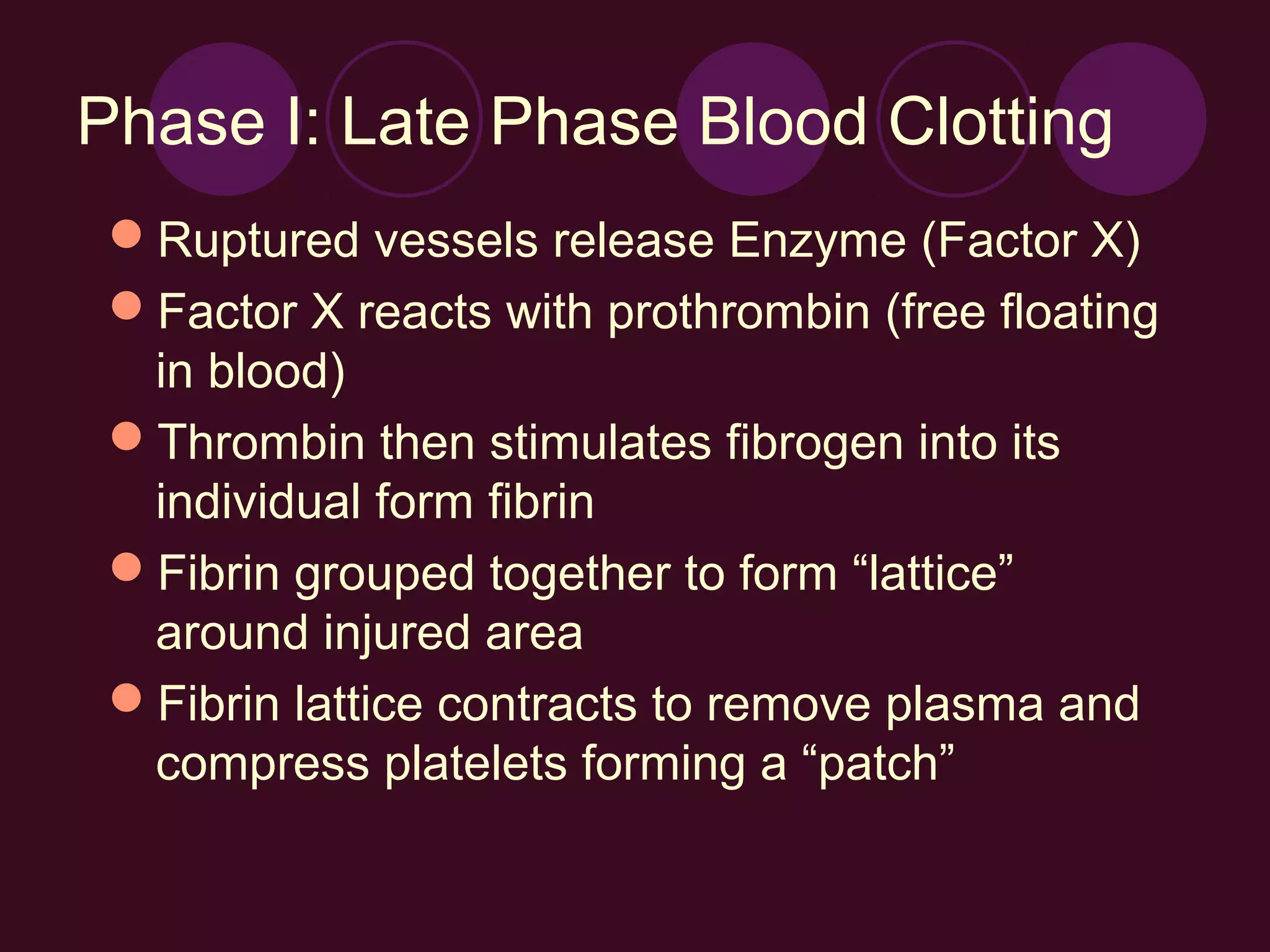 Phase I: Late Phase Blood Clotting
 Ruptured vessels release Enzyme (Factor X)
 Factor X reacts with prothrombin (free floating
  in blood)
 Thrombin then stimulates fibrogen into its
  individual form fibrin
 Fibrin grouped together to form “lattice”
  around injured area
 Fibrin lattice contracts to remove plasma and
  compress platelets forming a “patch”
 