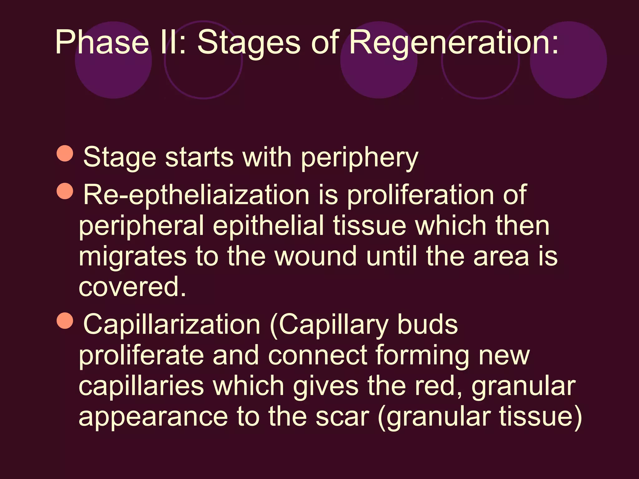 Phase II: Stages of Regeneration:


Stage starts with periphery
Re-eptheliaization is proliferation of
 peripheral epithelial tissue which then
 migrates to the wound until the area is
 covered.
Capillarization (Capillary buds
 proliferate and connect forming new
 capillaries which gives the red, granular
 appearance to the scar (granular tissue)
 