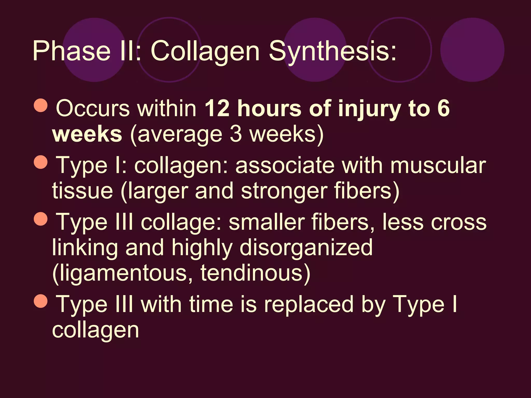 Phase II: Collagen Synthesis:
Occurs within 12 hours of injury to 6
 weeks (average 3 weeks)
Type I: collagen: associate with muscular
 tissue (larger and stronger fibers)
Type III collage: smaller fibers, less cross
 linking and highly disorganized
 (ligamentous, tendinous)
Type III with time is replaced by Type I
 collagen
 