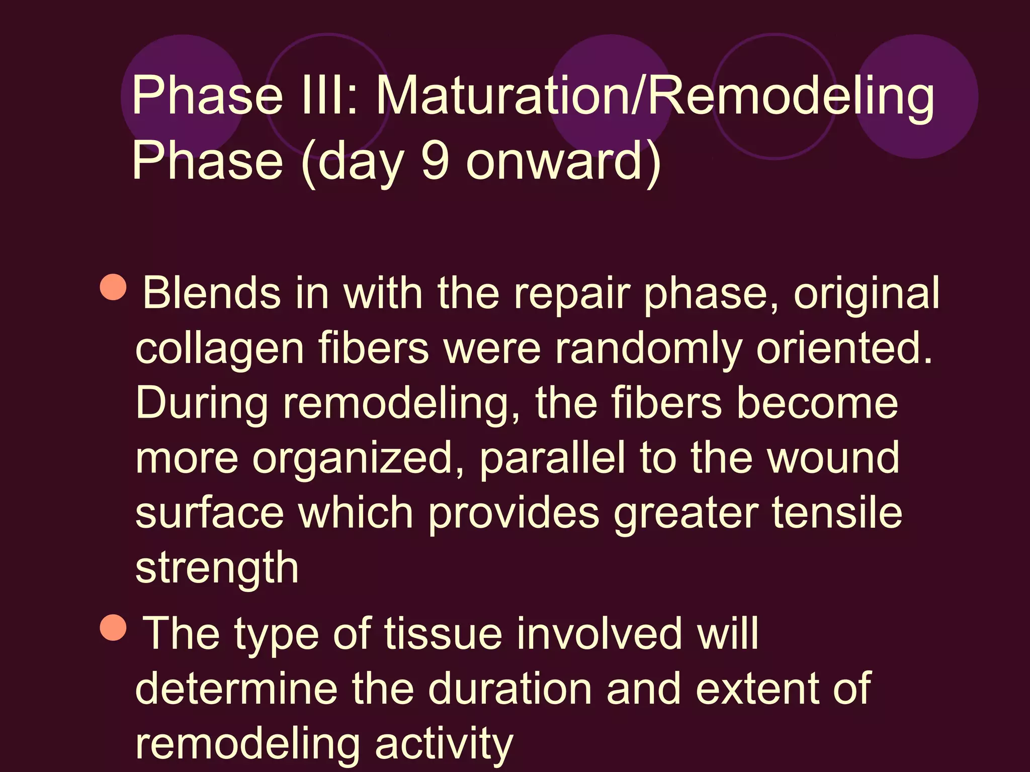 Phase III: Maturation/Remodeling
 Phase (day 9 onward)

Blends in with the repair phase, original
 collagen fibers were randomly oriented.
 During remodeling, the fibers become
 more organized, parallel to the wound
 surface which provides greater tensile
 strength
The type of tissue involved will
 determine the duration and extent of
 remodeling activity
 
