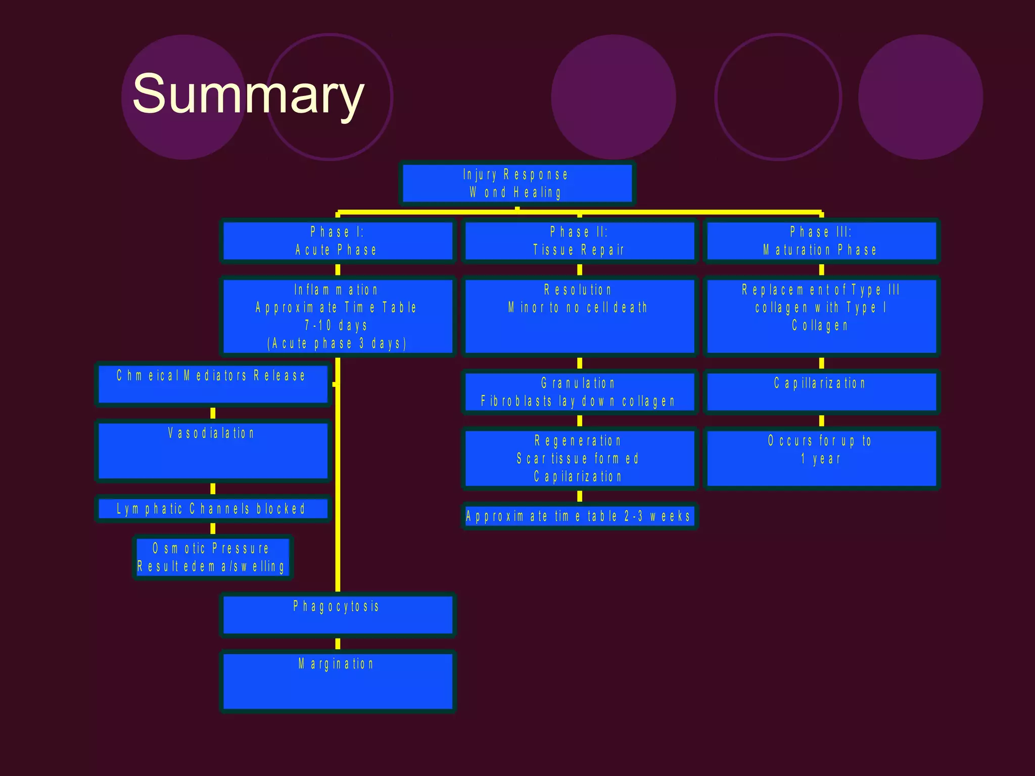 Summary
                                                                         In ju r y R e s p o n s e
                                                                           W o n d H e a lin g

                                              P h a s e I:                                   P h a s e II:                             P h a s e III:
                                           A c u te P h a s e                            T is s u e R e p a ir                   M a tu r a tio n P h a s e

                                             In f la m m a tio n                           R e s o lu tio n                  R e p la c e m e n t o f T y p e III
                                   A p p r o x im a te T im e T a b le             M in o r to n o c e ll d e a th              c o lla g e n w ith T y p e I
                                                7 -1 0 d a y s                                                                           C o lla g e n
                                     ( A c u te p h a s e 3 d a y s )

C h m e ic a l M e d ia to r s R e le a s e
                                                                                            G r a n u la tio n                      C a p illa r iz a tio n
                                                                             F ib r o b la s ts la y d o w n c o lla g e n

           V a s o d ia la tio n
                                                                                         R e g e n e r a tio n                    O c c u r s fo r u p to
                                                                                     S c a r tis s u e f o r m e d                        1 year
                                                                                         C a p ila r iz a tio n

L y m p h a tic C h a n n e ls b lo c k e d                              A p p r o x im a te tim e ta b le 2 - 3 w e e k s

       O s m o tic P r e s s u r e
    R e s u lt e d e m a /s w e llin g

                                           P h a g o c y to s is


                                            M a r g in a tio n
 
