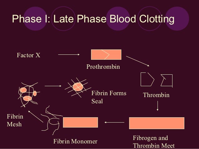 Inflammatory process