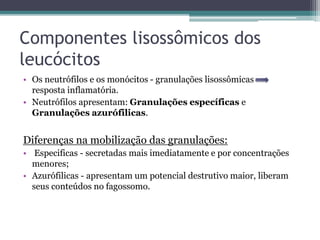 Componentes lisossômicos dos
leucócitos
• Os neutrófilos e os monócitos - granulações lisossômicas
resposta inflamatória.
• Neutrófilos apresentam: Granulações específicas e
Granulações azurófilicas.
Diferenças na mobilização das granulações:
• Especificas - secretadas mais imediatamente e por concentrações
menores;
• Azurófilicas - apresentam um potencial destrutivo maior, liberam
seus conteúdos no fagossomo.
 