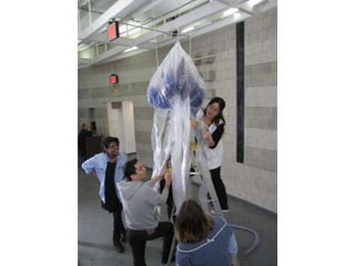 Inflatables fall2010