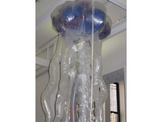 Inflatables fall2010