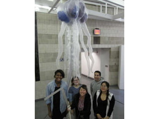 Inflatables fall2010