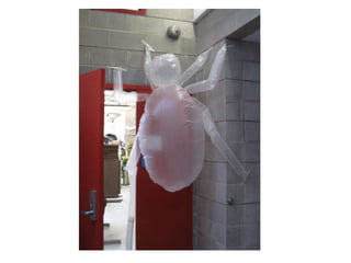 Inflatables fall2010