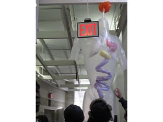 Inflatables fall2010