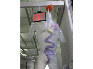 Inflatables fall2010