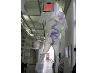 Inflatables fall2010