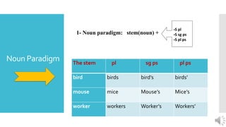 Noun Paradigm The stem pl sg ps pl ps
bird birds bird’s birds’
mouse mice Mouse’s Mice’s
worker workers Worker’s Workers’
1- Noun paradigm: stem(noun) +
-S pl
-S sg ps
-S pl ps
 