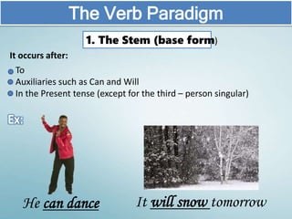 It occurs after:
The Verb Paradigm
To
Auxiliaries such as Can and Will
In the Present tense (except for the third – person singular)
He can dance It will snow tomorrow
1. The Stem (base form)
 