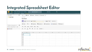 ®
16 | 6/28/2023 © Copyright 2006-2022 Inflectra Corporation
®
Integrated Spreadsheet Editor
 