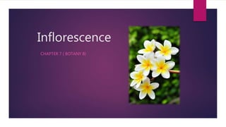 Inflorescence
CHAPTER 7 ( BOTANY B)
 