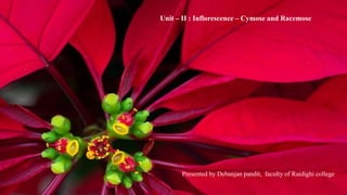 Unit – II : Inflorescence – Cymose and Racemose
Presented by Debanjan pandit, faculty of Raidighi college
 