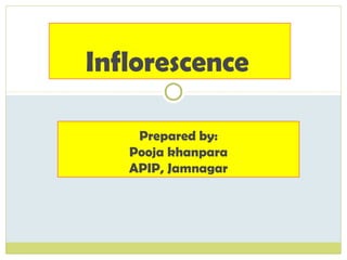 Inflorescence
Prepared by:
Pooja khanpara
APIP, Jamnagar
 
