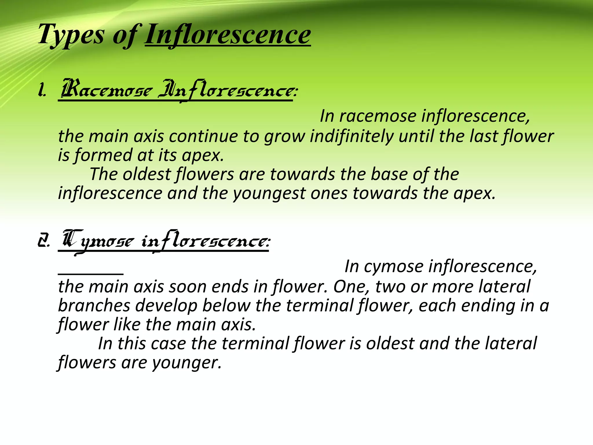 Inflorescences & Its Types | PPT