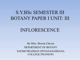 S.Y.BSc SEMESTER III
BOTANY PAPER I UNIT: III
INFLORESCENCE
By Miss. Shweta Chavan
DEPARTMENT OF BOTANY
SATISH PRADHAN DNYANASADHANA
COLLEGE,THANE(W)
 