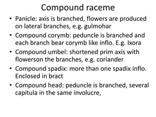 Compund Racemose inflorescences.ppt