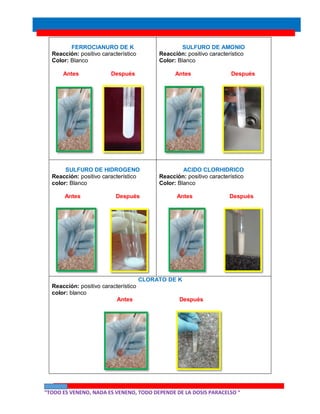 “TODO ES VENENO, NADA ES VENENO, TODO DEPENDE DE LA DOSIS PARACELSO “
FERROCIANURO DE K
Reacción: positivo característico
Color: Blanco
Antes Después
SULFURO DE AMONIO
Reacción: positivo característico
Color: Blanco
Antes Después
SULFURO DE HIDROGENO
Reacción: positivo característico
color: Blanco
Antes Después
ACIDO CLORHIDRICO
Reacción: positivo característico
Color: Blanco
Antes Después
CLORATO DE K
Reacción: positivo característico
color: blanco
Antes Después
 