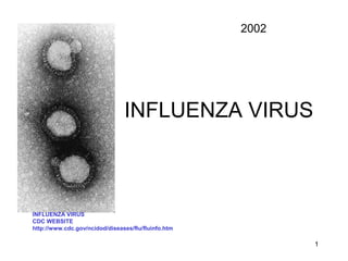 1
INFLUENZA VIRUS
INFLUENZA VIRUS
CDC WEBSITE
http://www.cdc.gov/ncidod/diseases/flu/fluinfo.htm
2002
 