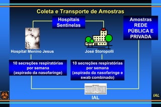 IAL
Coleta e Transporte de Amostras
Hospital Menino Jesus José Storopolli
10 secreções respiratórias
por semana
(aspirado ...