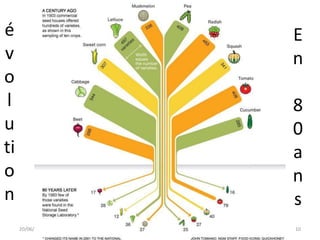 é
v
o
l
u
ti
o
n
20/06/2013
Abou DIOP CFPH : Influence des activités
humaines sur la Biodiversité
E
n
8
0
a
n
s
10
 