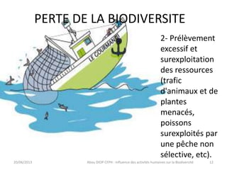 PERTE DE LA BIODIVERSITE
20/06/2013 Abou DIOP CFPH : Influence des activités humaines sur la Biodiversité
2- Prélèvement
excessif et
surexploitation
des ressources
(trafic
d'animaux et de
plantes
menacés,
poissons
surexploités par
une pêche non
sélective, etc).
12
 