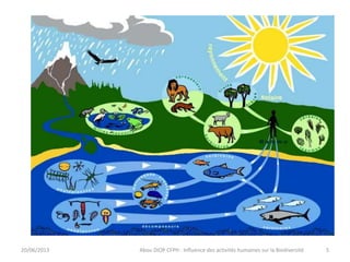 20/06/2013 Abou DIOP CFPH : Influence des activités humaines sur la Biodiversité 5
 