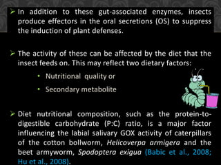 Influence of diets on detoxifying enzymatic activities of insects | PPTX