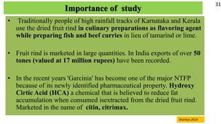 Garcinia gummi-gatta
• Type of seed : Recalcitrant (Chacko and Pillai ,1997) .
• Habitat : Semi-evergreen to Evergreen for...