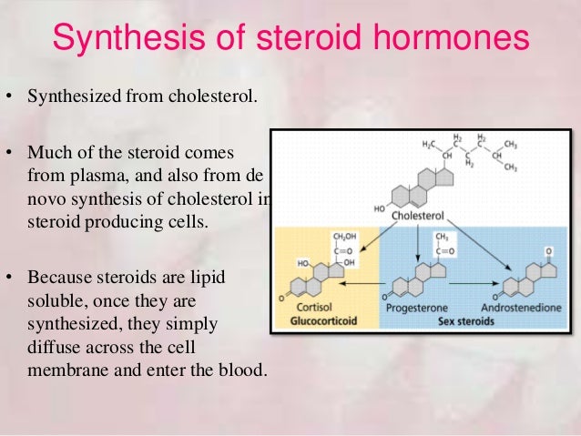 influence of steroid hormones on the periodontium steroid hormones