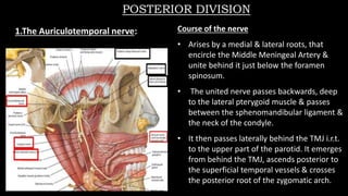 POSTERIOR DIVISION
1.The Auriculotemporal nerve: Course of the nerve
• Arises by a medial & lateral roots, that
encircle the Middle Meningeal Artery &
unite behind it just below the foramen
spinosum.
• The united nerve passes backwards, deep
to the lateral pterygoid muscle & passes
between the sphenomandibular ligament &
the neck of the condyle.
• It then passes laterally behind the TMJ i.r.t.
to the upper part of the parotid. It emerges
from behind the TMJ, ascends posterior to
the superficial temporal vessels & crosses
the posterior root of the zygomatic arch.
 
