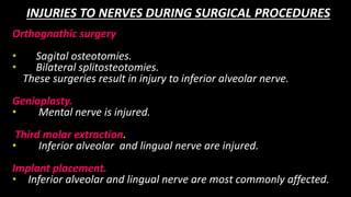 INJURIES TO NERVES DURING SURGICAL PROCEDURES
Orthognathic surgery
• Sagital osteotomies.
• Bilateral splitosteotomies.
These surgeries result in injury to inferior alveolar nerve.
Genioplasty.
• Mental nerve is injured.
Third molar extraction.
• Inferior alveolar and lingual nerve are injured.
Implant placement.
• Inferior alveolar and lingual nerve are most commonly affected.
 