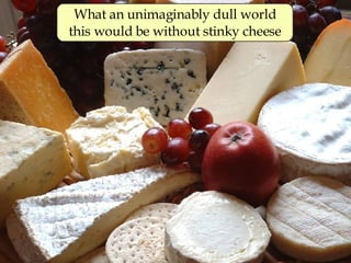 What an unimaginably dull world this would be without stinky cheese 