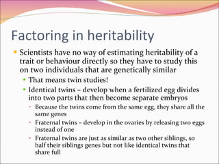 Factoring in heritability Scientists have no way of estimating heritability of a trait or behaviour directly so they have to study this on two individuals that are genetically similar That means twin studies! Identical twins – develop when a fertilized egg divides into two parts that then become separate embryos  Because the twins come from the same egg, they share all the same genes Fraternal twins – develop in the ovaries by releasing two eggs instead of one  Fraternal twins are just as similar as two other siblings, so half their siblings genes but not like identical twins that share full 