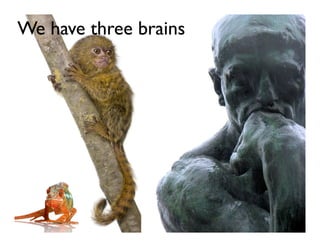 We have three brains
 