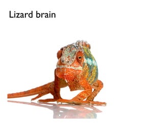 Lizard brain
 