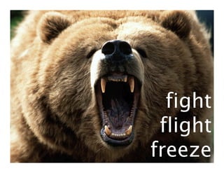 fight
 flight
freeze
 