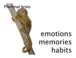 Mammal brain




               emotions
               memories
                 habits
 