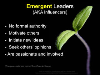 - No formal authority
- Motivate others
- Initiate new ideas
- Seek others’ opinions
- Are passionate and involved
(Emerge...