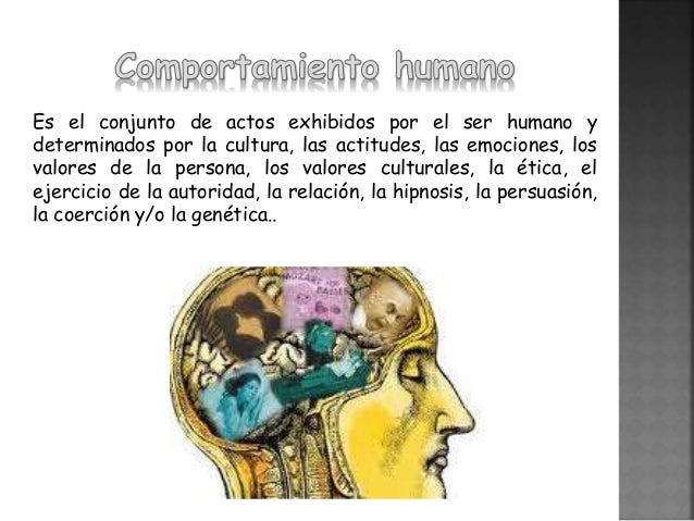 Influencia de la cultura en el comportamiento