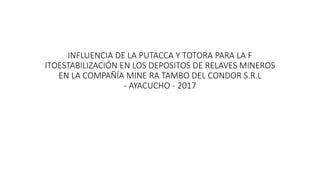 INFLUENCIA DE LA PUTACCA Y TOTORA PARA LA F
ITOESTABILIZACIÓN EN LOS DEPOSITOS DE RELAVES MINEROS
EN LA COMPAÑÍA MINE RA TAMBO DEL CONDOR S.R.L
- AYACUCHO - 2017
 