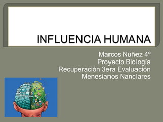 Marcos Nuñez 4º
Proyecto Biología
Recuperación 3era Evaluación
Menesianos Nanclares
 